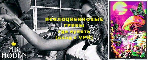 скорость Алзамай