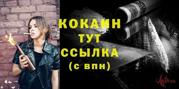 индика Дедовск