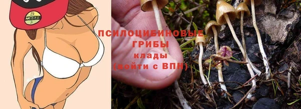 спиды Семёнов