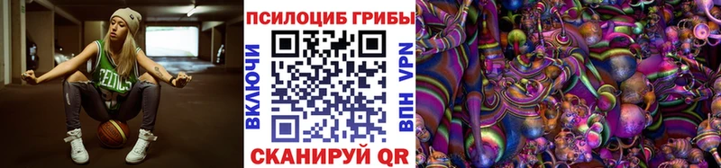 Галлюциногенные грибы Psilocybe  купить наркоту  Амурск 