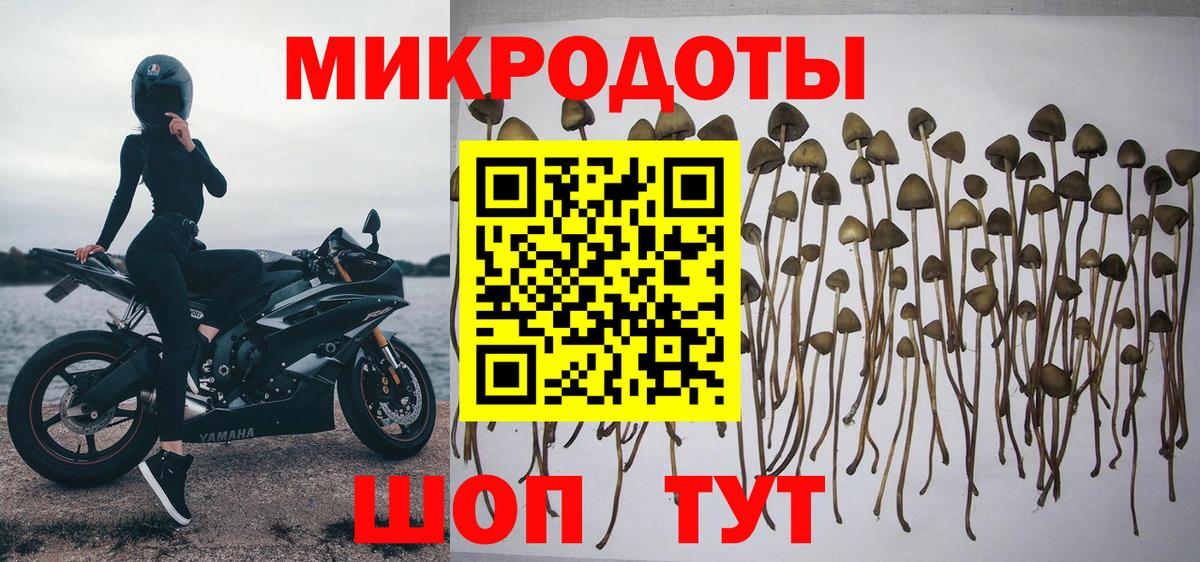 Галлюциногенные грибы MAGIC MUSHROOMS Амурск